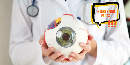 8 Interesting Facts About the Human Eye